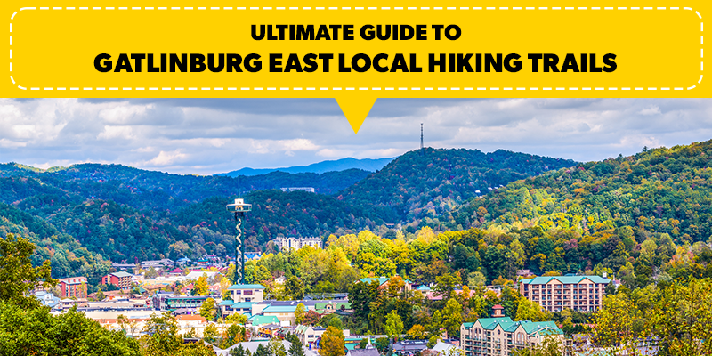 Ultimate Guide to Gatlinburg East Local Hiking Trails