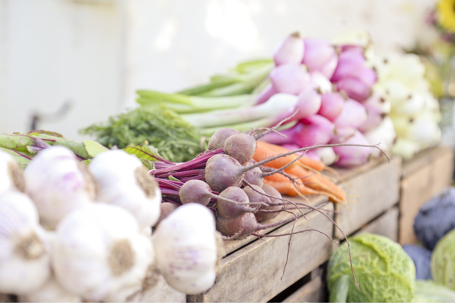 Gatlinburg Farmers Market Photo