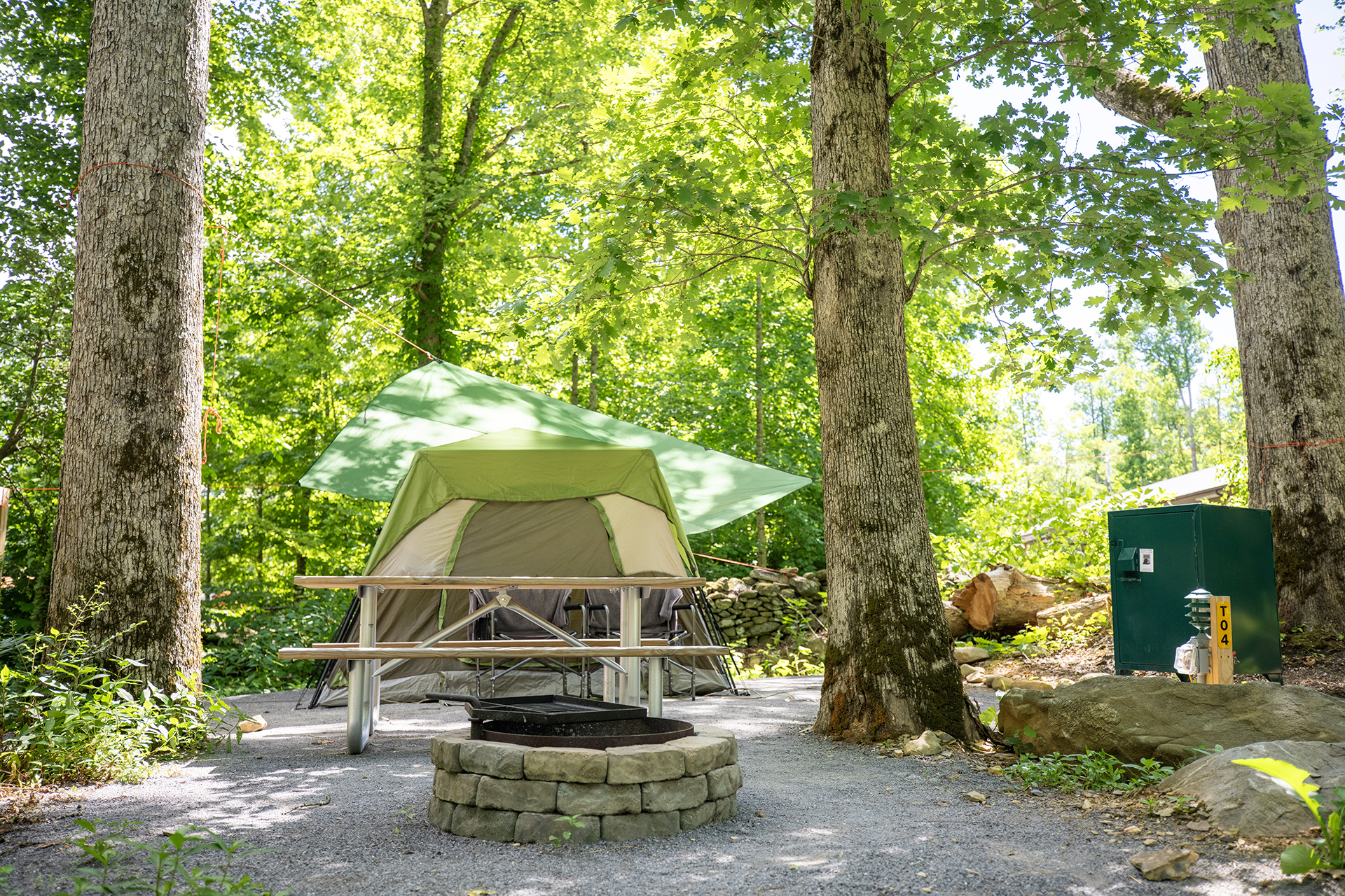 T4 - Tent Site, Water & Electric - Premium