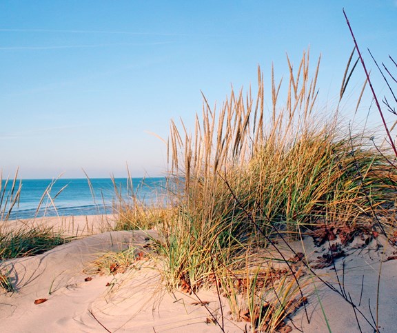 Lake Michigan