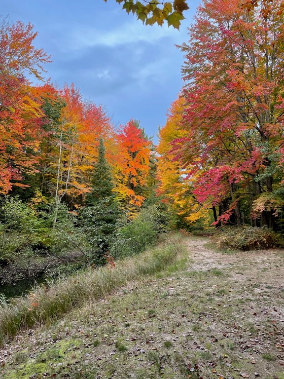 Hiking & Biking Path