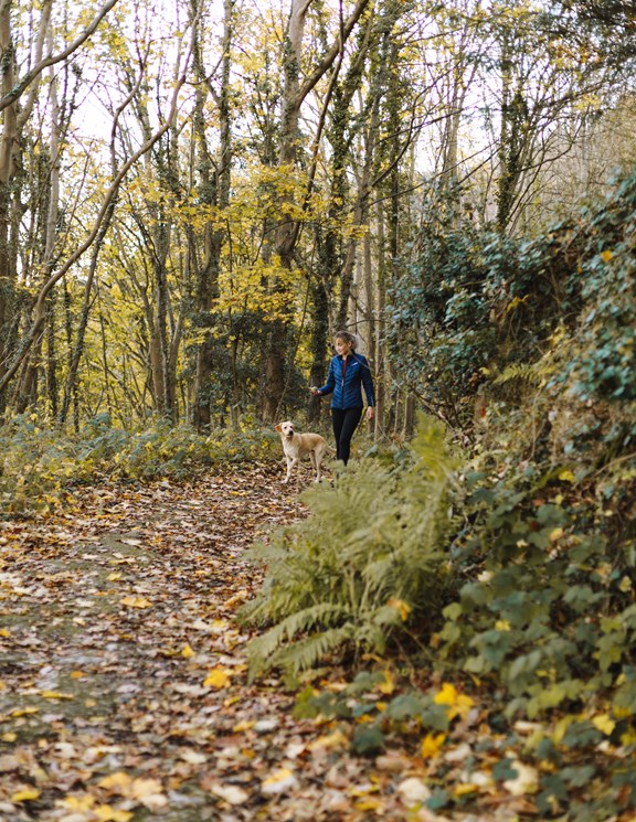 Hiking