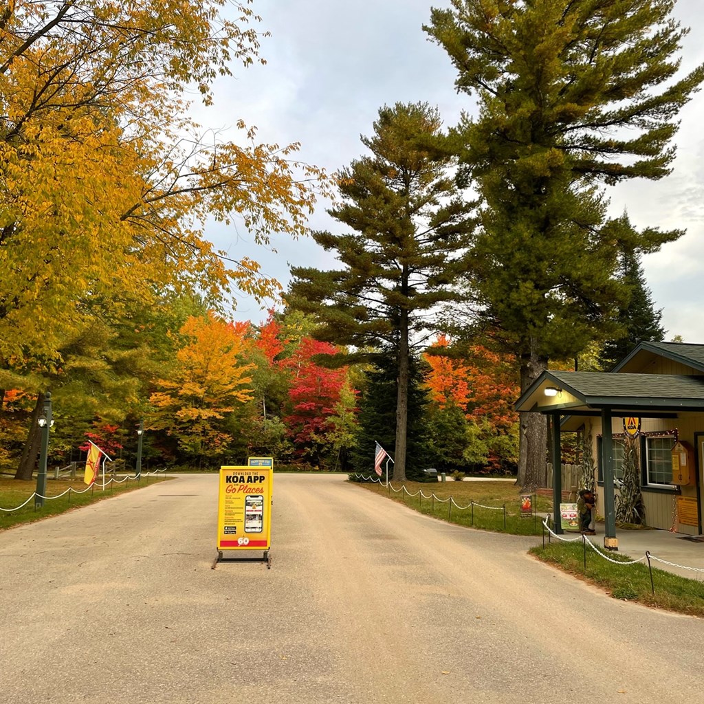 Check Out Michigan's Spectacular Fall Foliage!