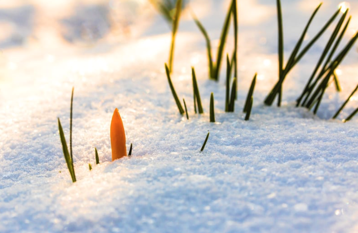 Here comes the sun!