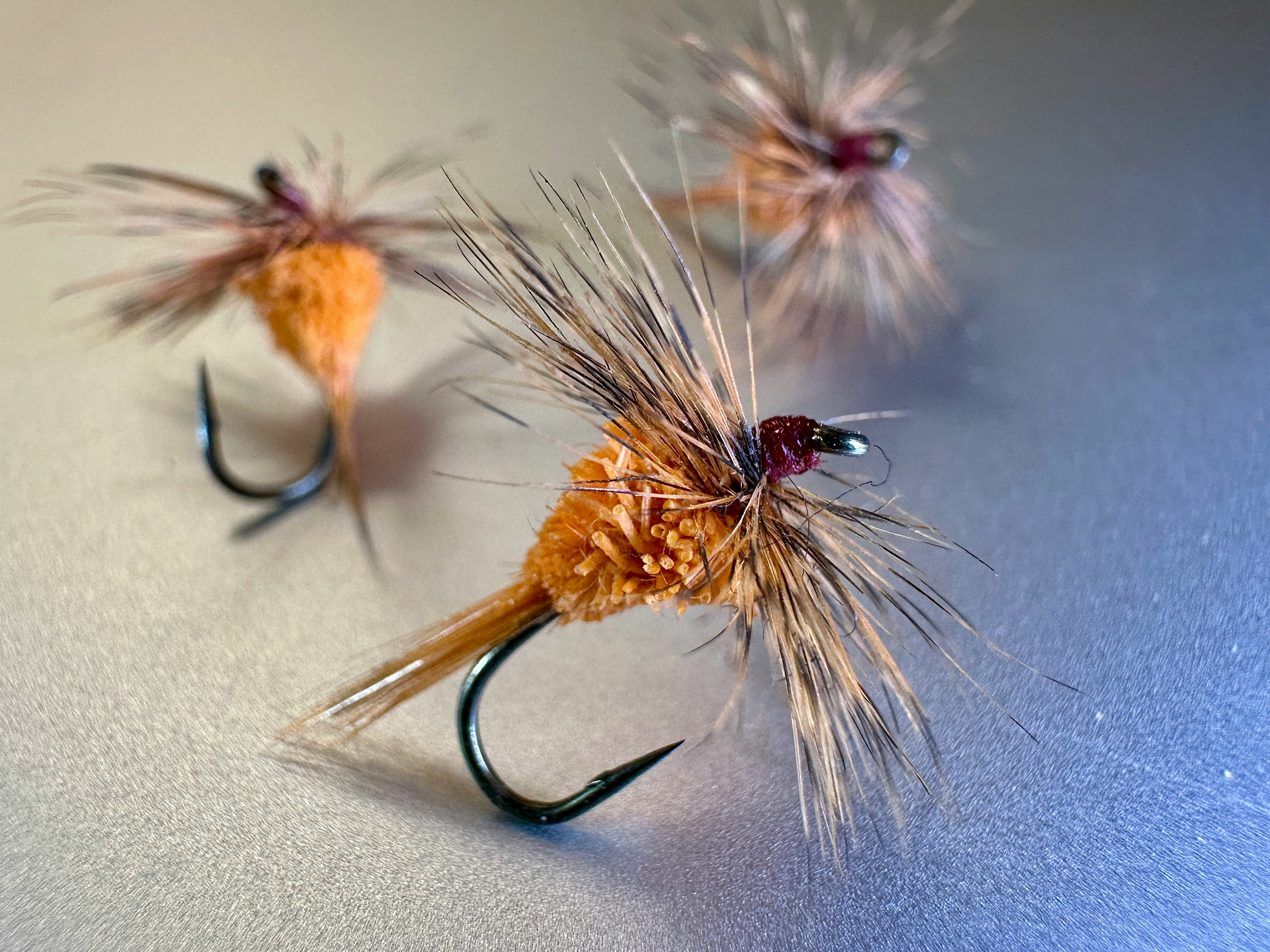 Beginners Fly Tying and Casting at Pigeon River Country Photo