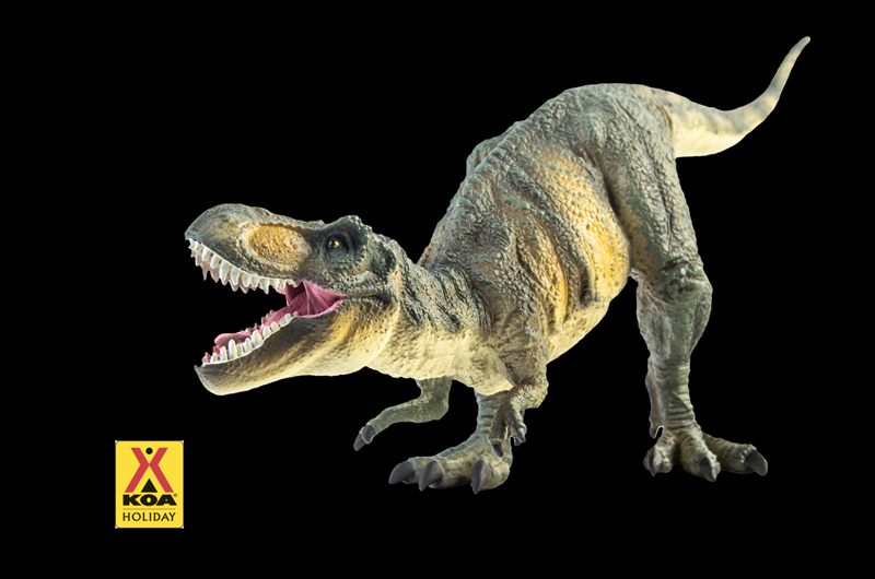 Dinosaur Weekend Photo