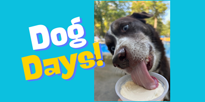 Dog Days of Summer Weekend