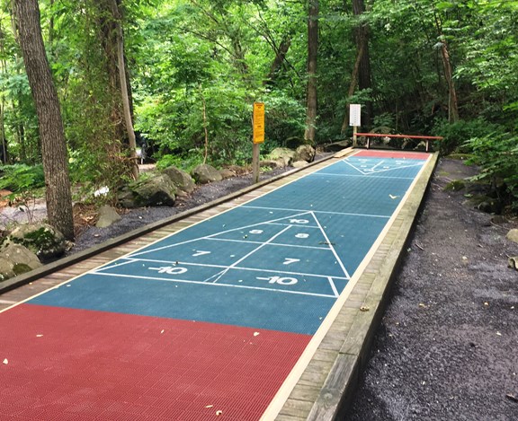 Shuffleboard