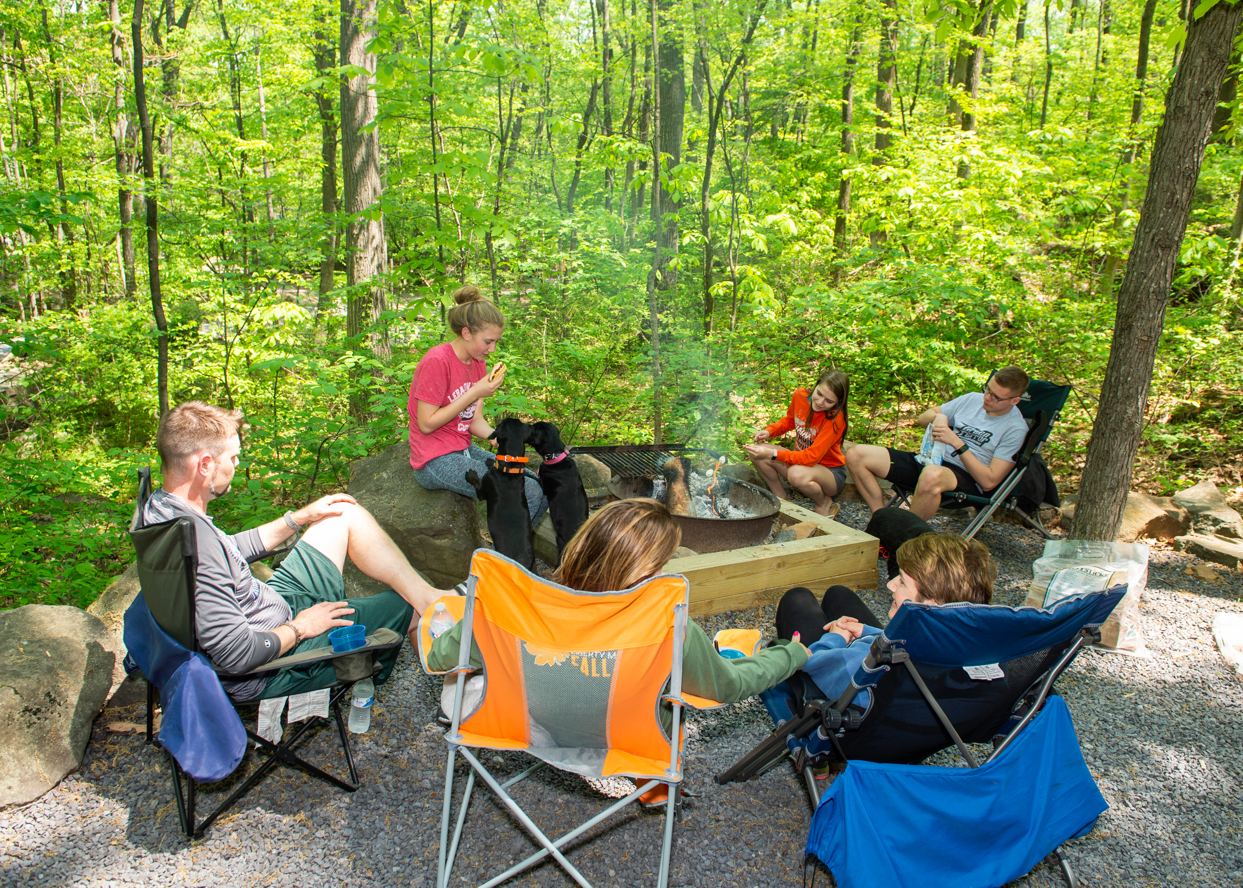 Campfire Experience