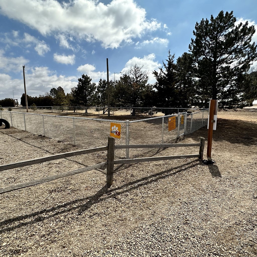 GIANT New Dog Run Completed