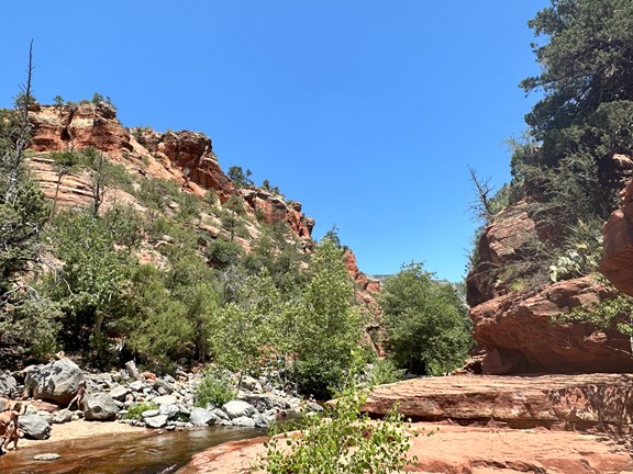 Oak Creek Canyon and Sedona