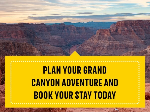 What Kind of Activities Can You Do at the Grand Canyon?