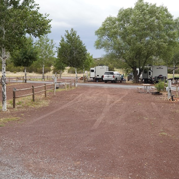 Site 79