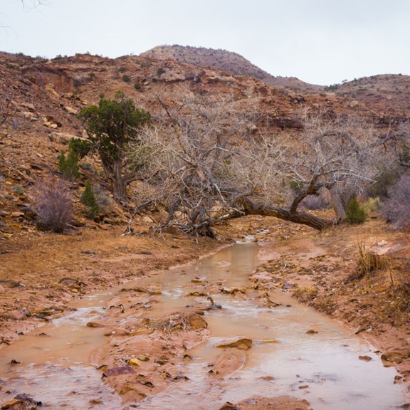 ATV & Side By Side Trails