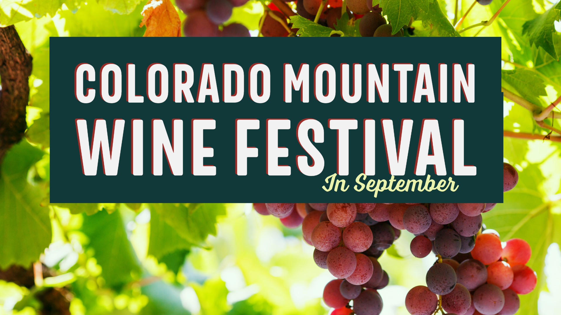 Colorado Mountain Wine Festival Photo