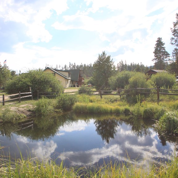 Trout Pond fishing