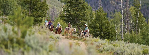 Horseback Riding