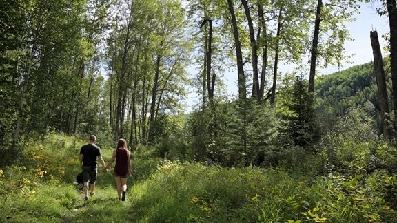 Hiking