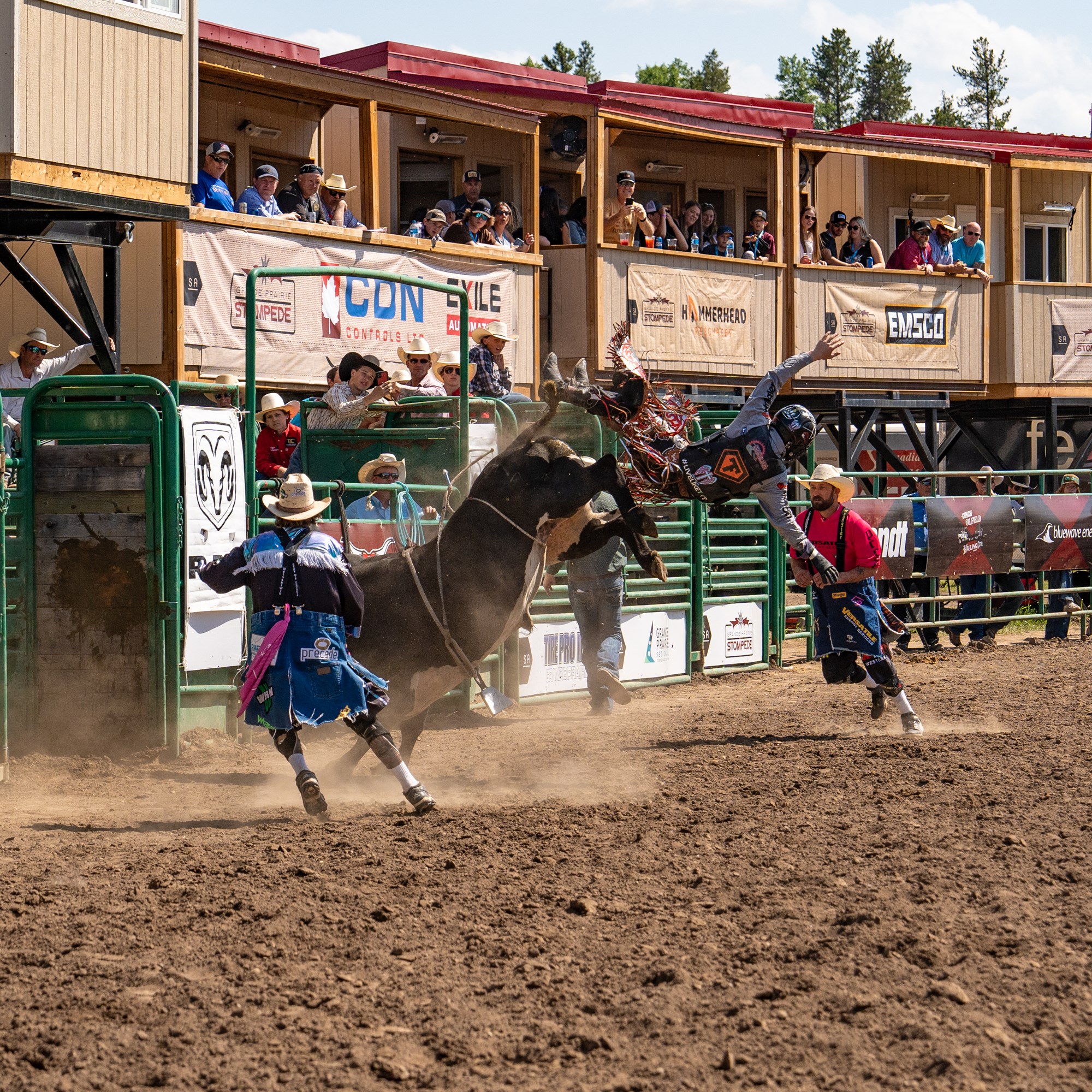 Grande Prairie Stompede Photo