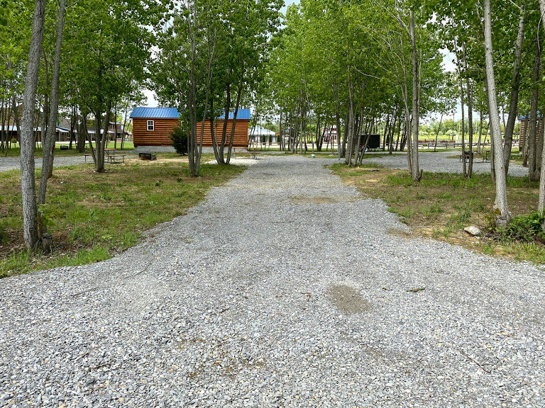 Site 49