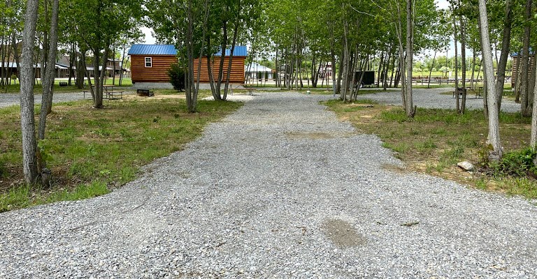 Site 49