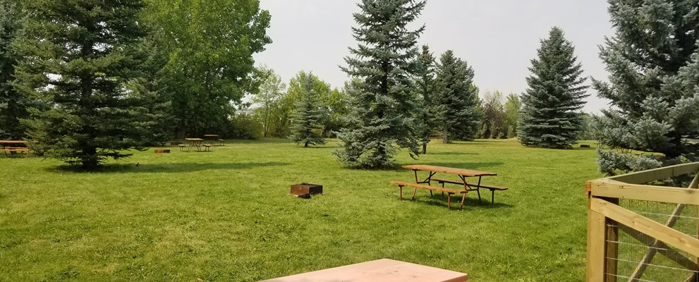North Overflow