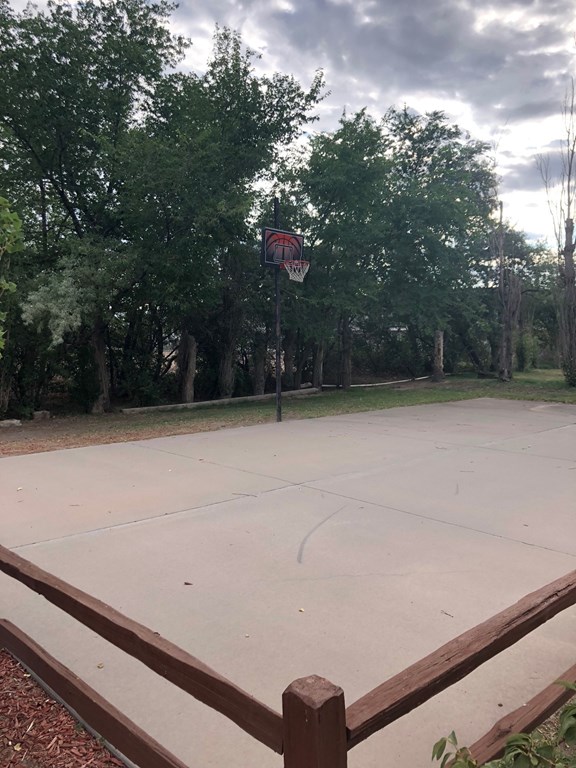 Basketball
