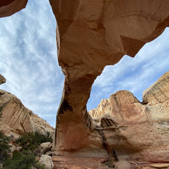 Capitol Reef National Park