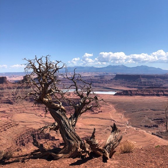 Another view of Potash and Shafer Trail