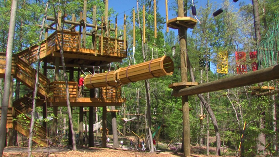 Skywild