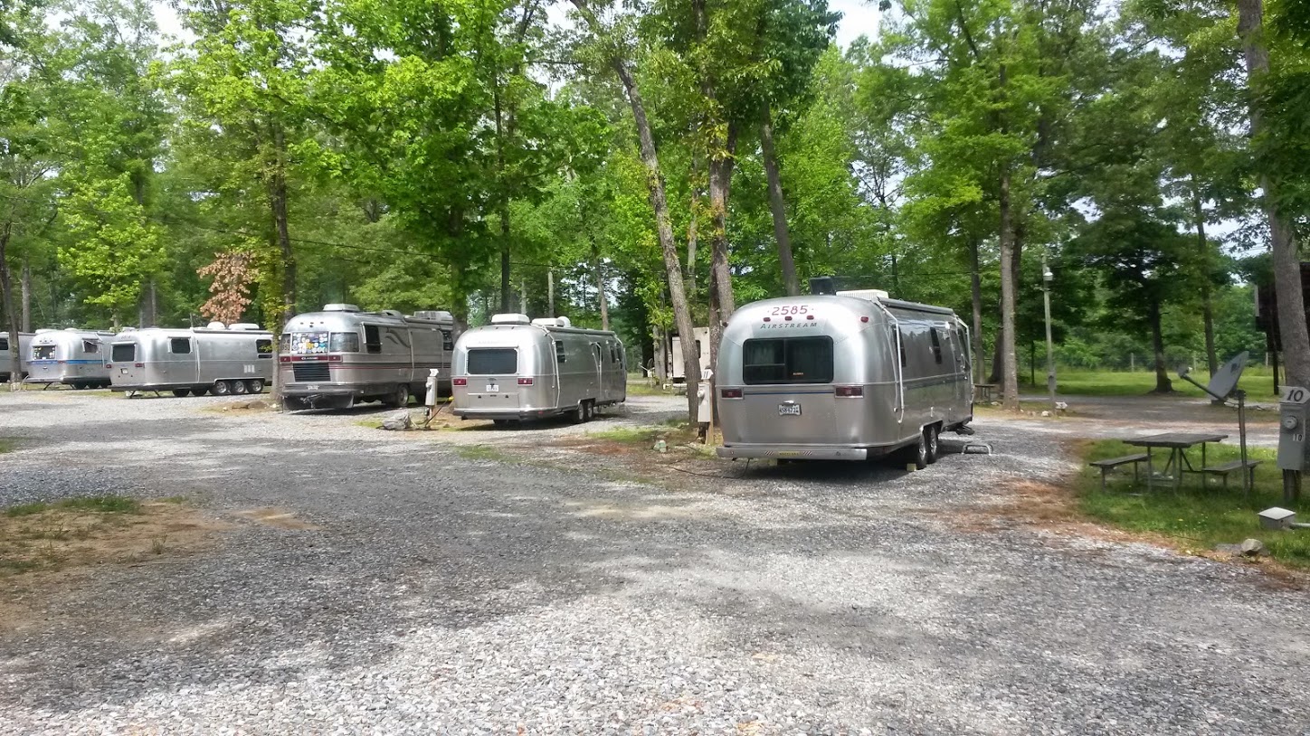 Our partially shaded sites