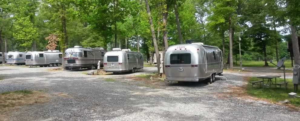 Our partially shaded sites