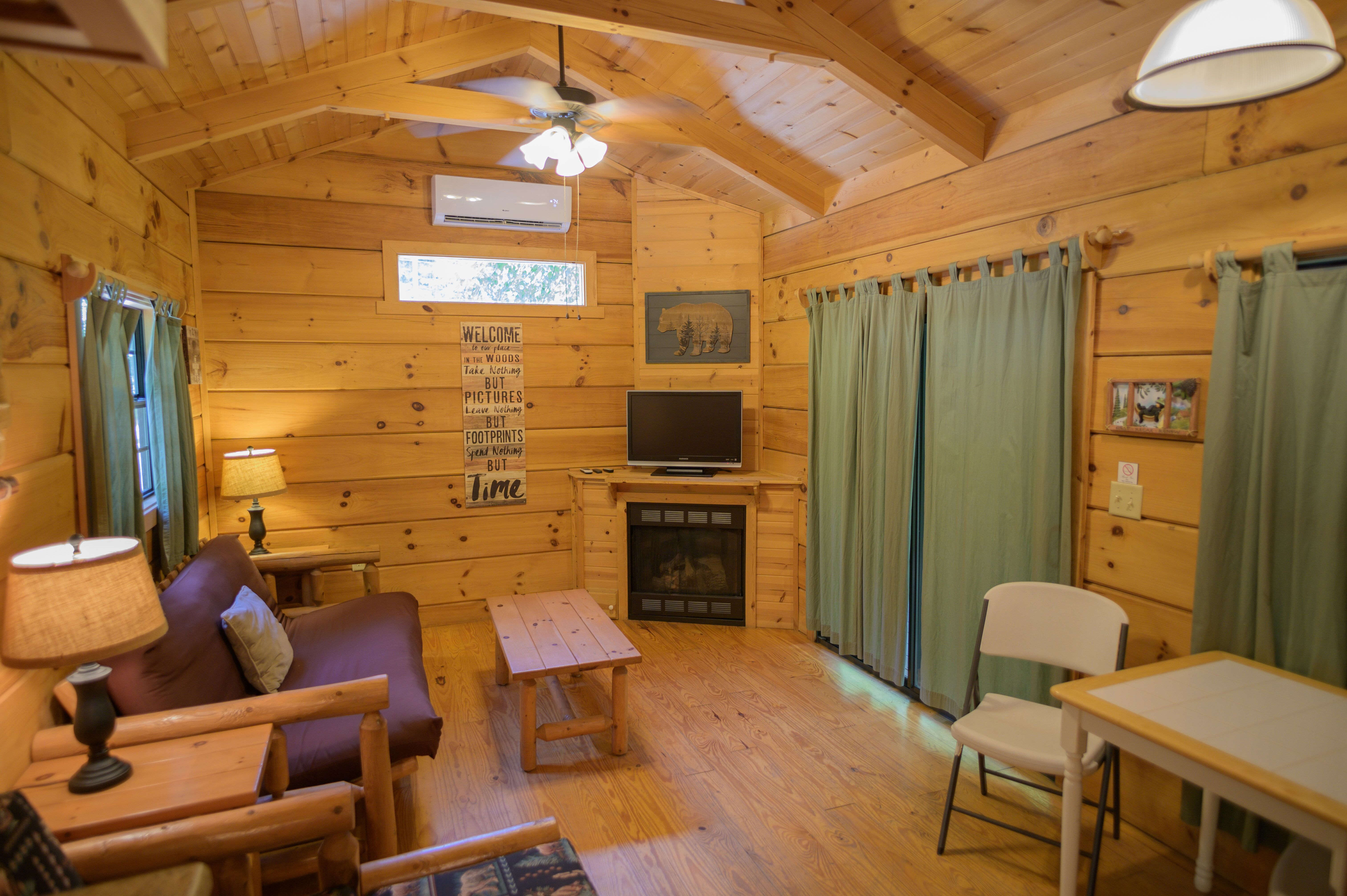 LIving area of Deluxe Cabin. Futon makes a bed. Cable TV and gas logs