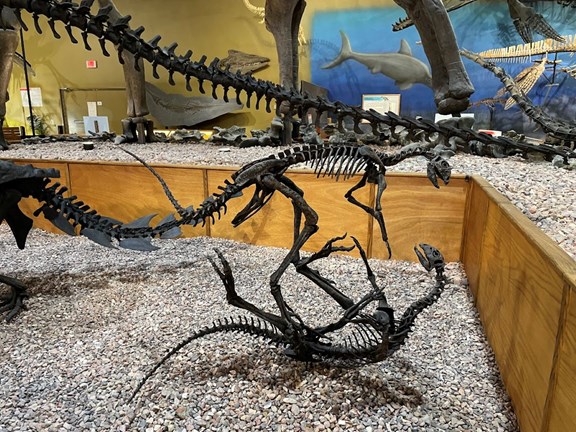 Thermopolis Hot Springs and Dinosaurs
