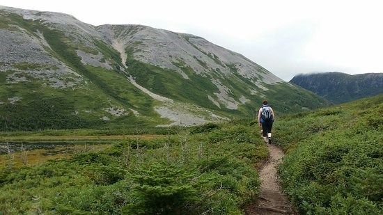 Hiking