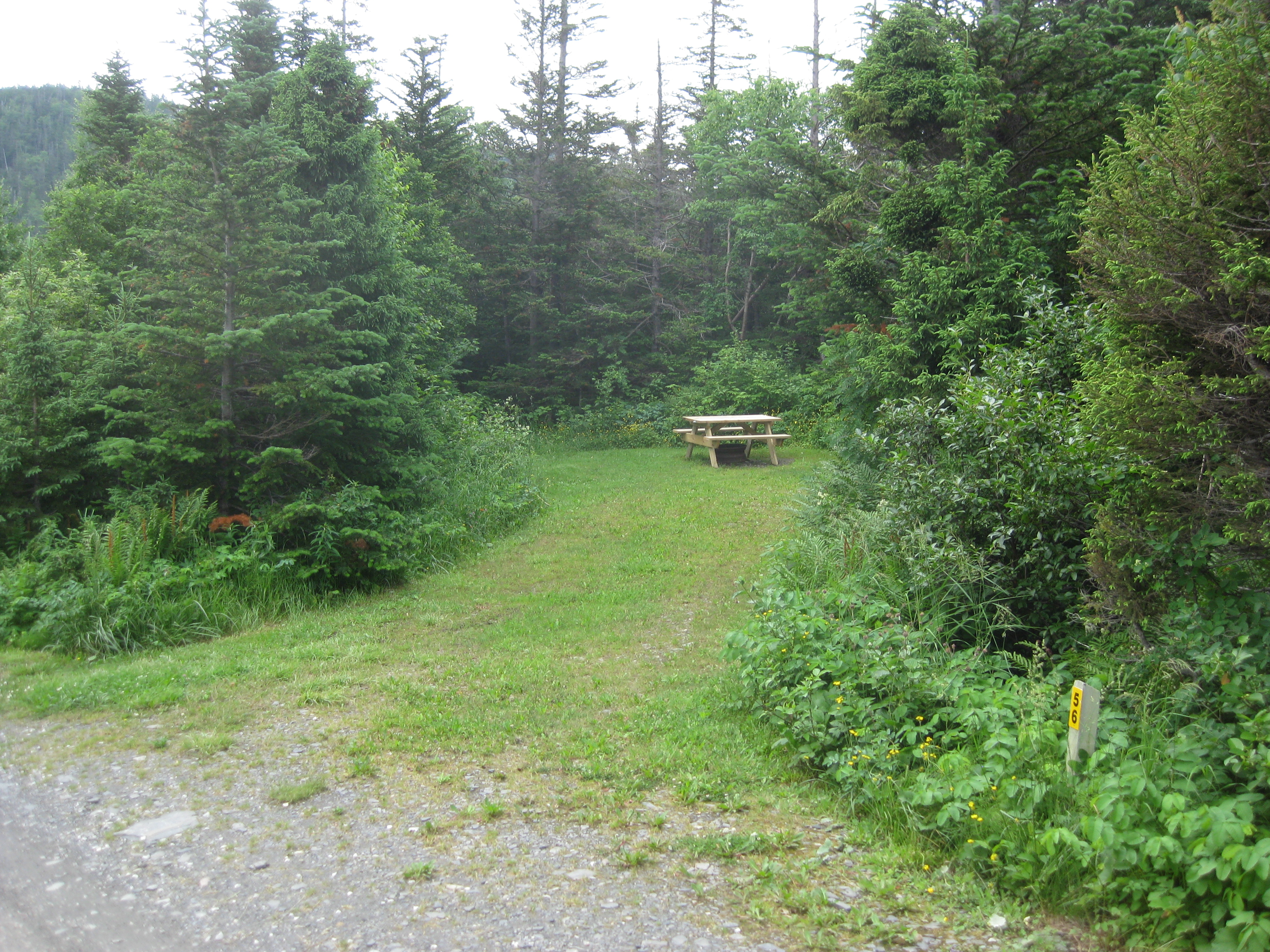 Private site with some shade.