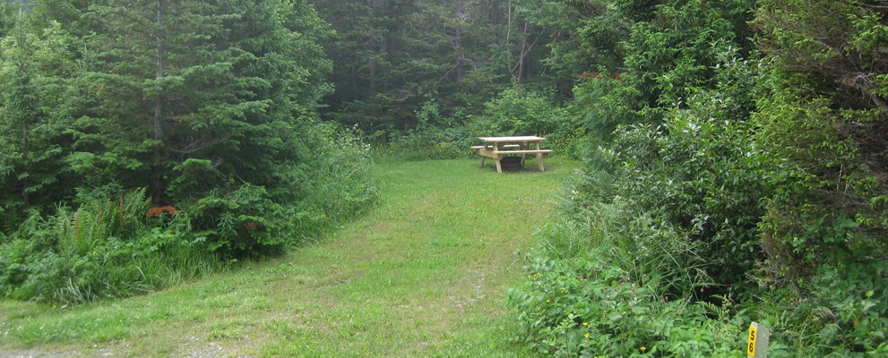 Private site with some shade.