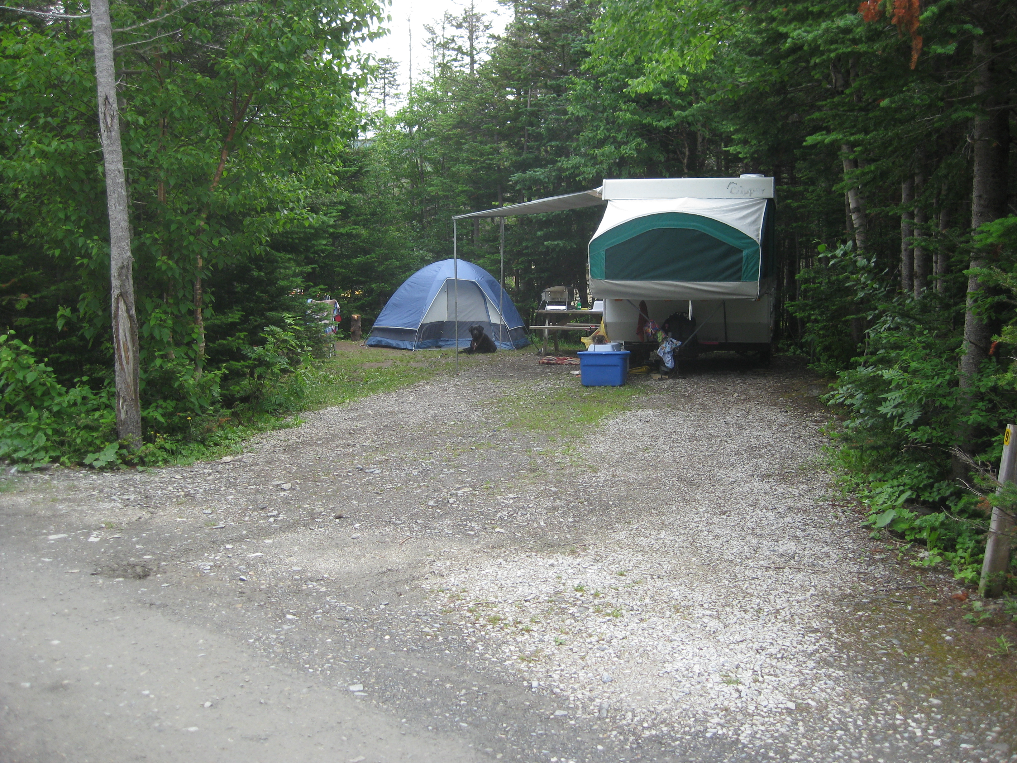 Level site, great for tenting or RV.