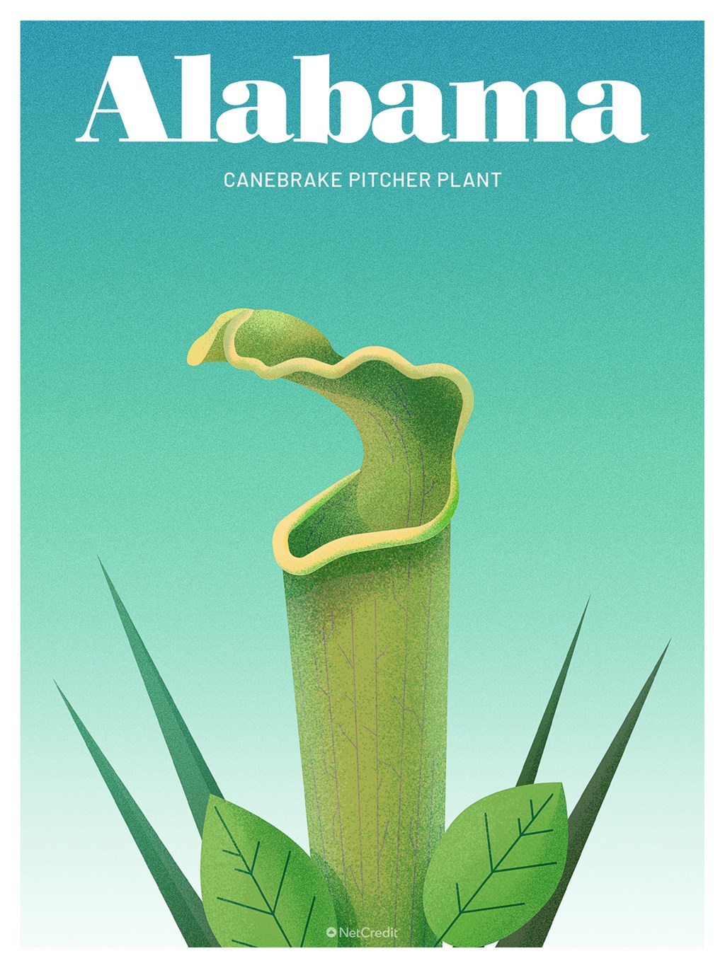 Biodiversity in Alabama
