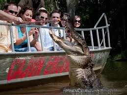 Cajun Encounters Swamp Tour