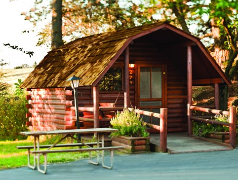 Cabin Escape Special Photo