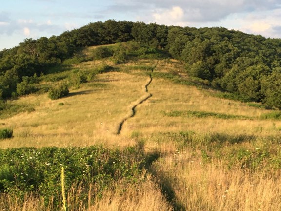 Appalachian Trail