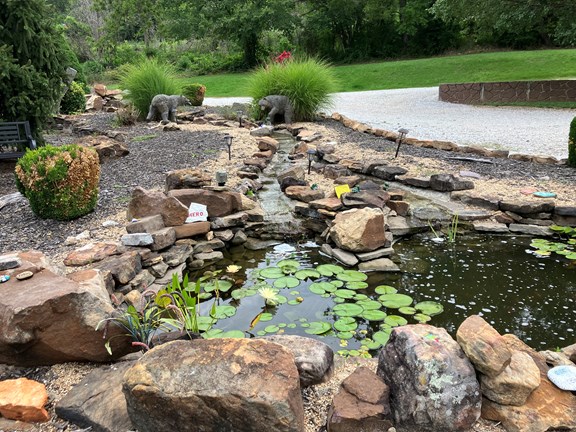 Koi pond