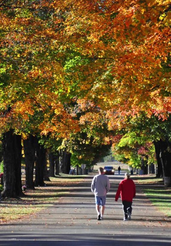 Maplewood Cemetery
