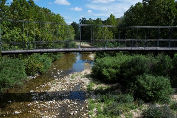 Haggard Ford Swinging Bridge