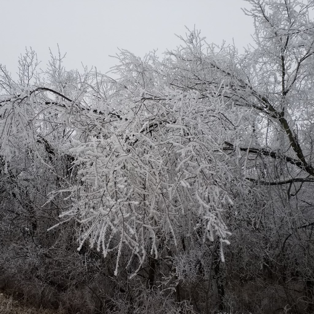 Natural Beauty in Harrison Arkansas