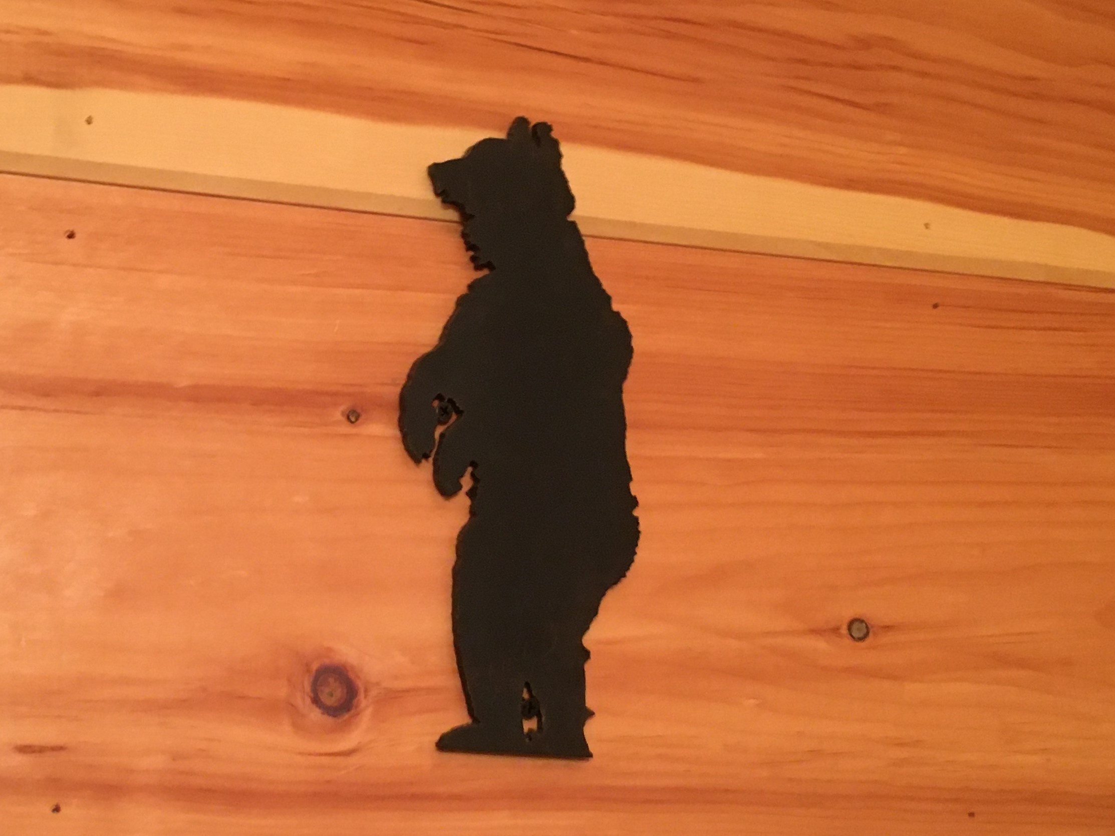 bear 6