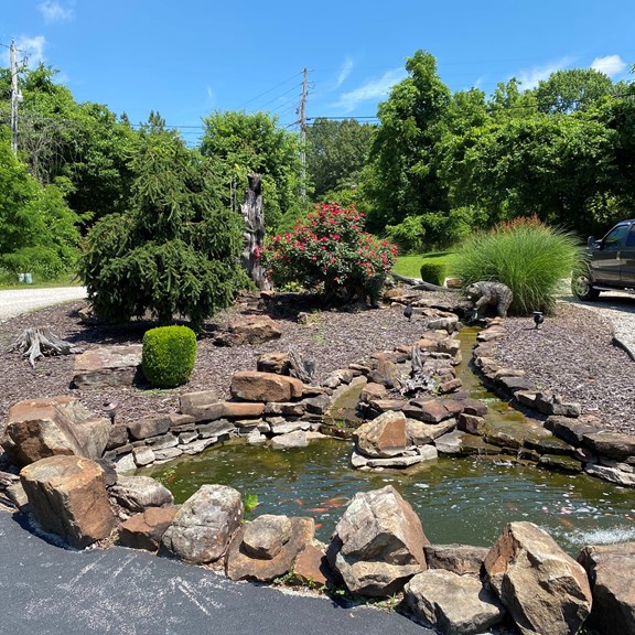Bears at the pond
