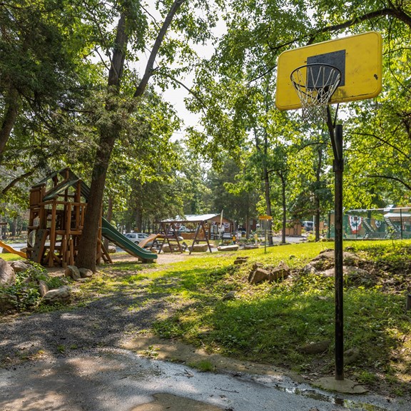 Basketball Court