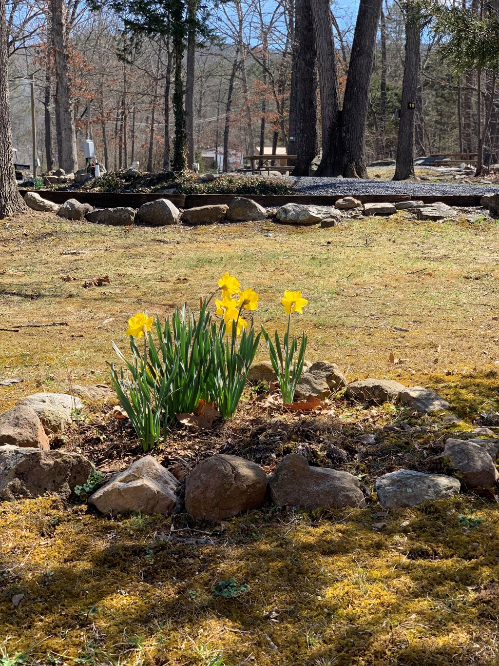 SPRING